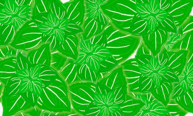 XATropische grüne Blätter handgezeichneter Frühlingsnaturhintergrund