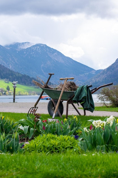 XDxAGardening Sich um ein öffentliches Blumenbeet kümmern