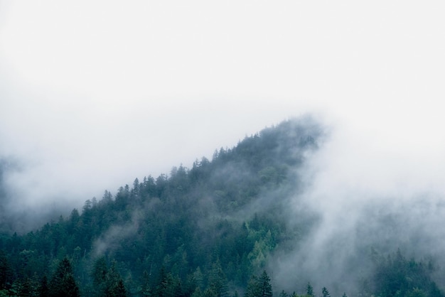 XDxAMMysteriöse Berge im Nebel Soft Focus