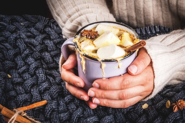 Xícara com chocolate quente de abóbora picante quente, com marshmallow e canela, anis