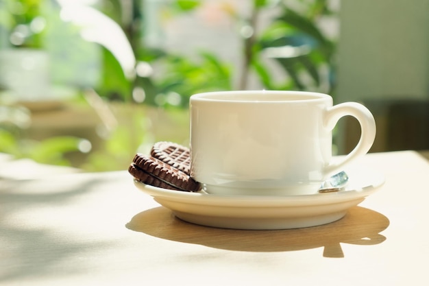 Xícara de café branca em um pires com biscoitos redondos de chocolate