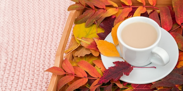 Xícara de café com leite e folhas coloridas na bandeja de madeira em pastel rosa fundo xadrez de malha.