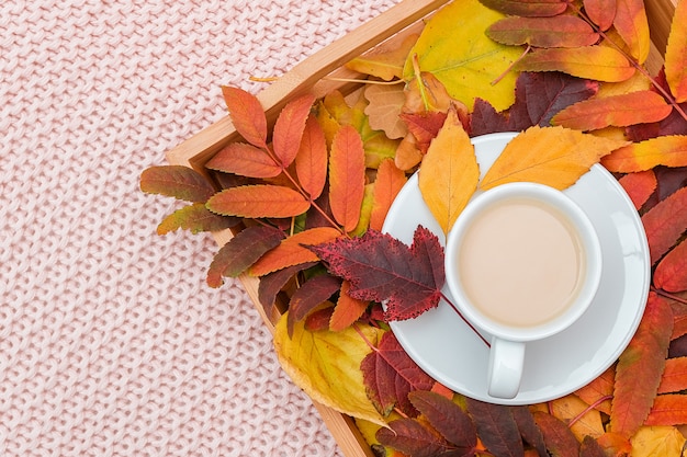 Xícara de café com leite e folhas coloridas na bandeja de madeira em xadrez de malha pastel rosa