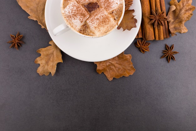 Xícara de café com marshmallows e cacau, folhas, laranjas secas, canela e anis estrelado, fundo de pedra cinza. saborosa bebida quente de outono. copyspace.