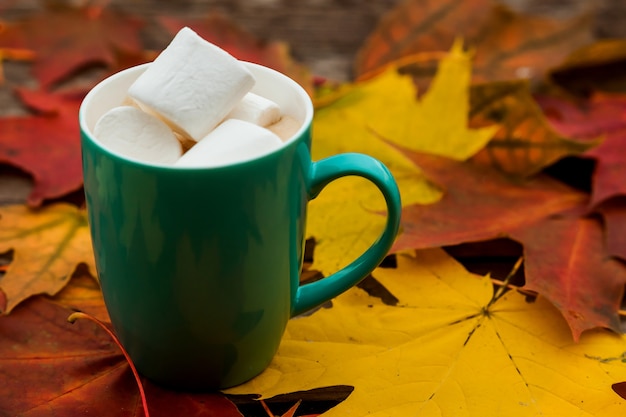 Xícara de café de cappuccino e folhas de outono de Marshmallows na superfície de pranchas de madeira escuras velhas.