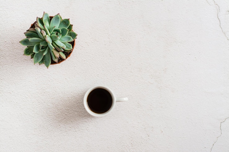 Foto xícara de café e suculenta em um fundo leve local de trabalho doméstico e pausa estilo de vida ecológico copiar espaço