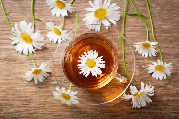 Xícara de chá de ervas de camomila com flores frescas de camomila