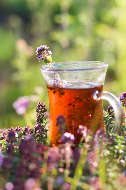 Xícara de chá de ervas quente em ervas de tomilho no verão