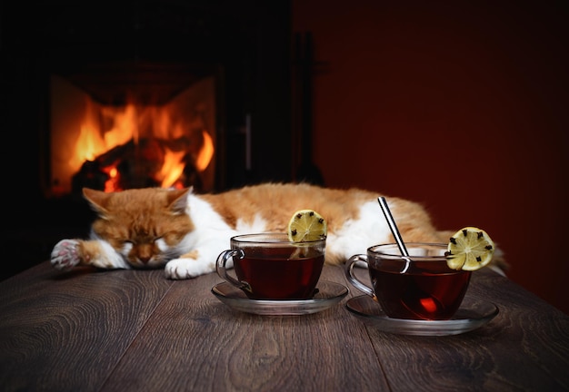 Xícara de chá na mesa contra o pano de fundo do fogo na lareira e um gato deitado no fundo