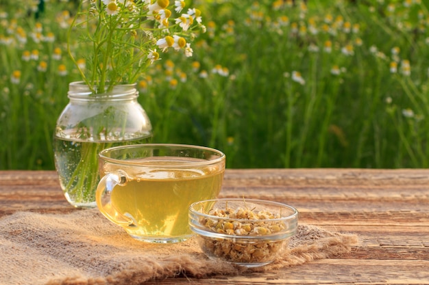 Xícara de chá verde, jarra com flores de camomila branca e tigela de vidro com flores secas de matricaria chamomilla em saco e tábuas de madeira com fundo verde natural.