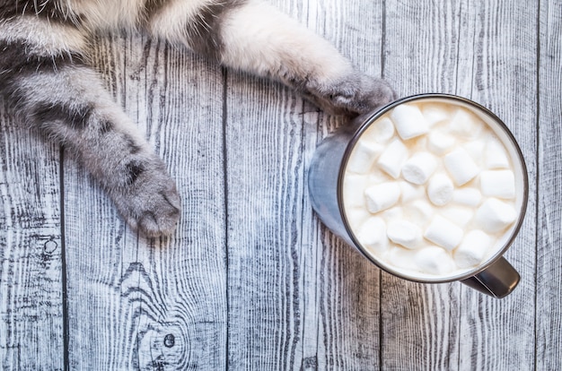 Xícara de chocolate com marshmallows e patas cinzentas de um gato em um fundo cinza de madeira