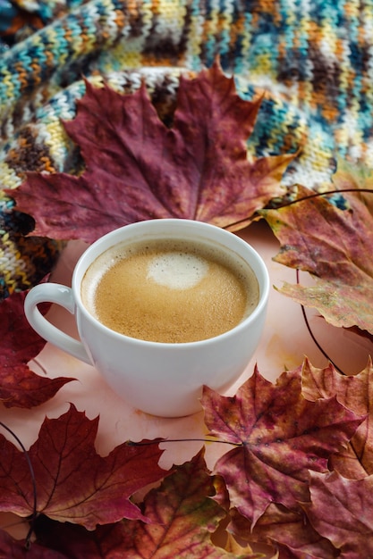 Xícara de suéter de malha espresso e folhas vermelhas de outono no humor rosa da temporada de outono