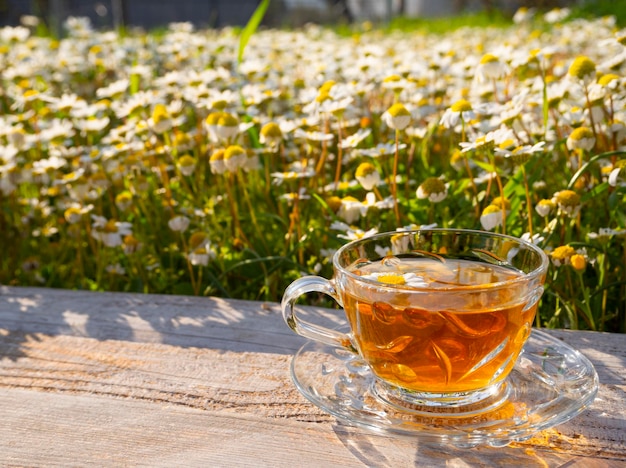 Xícara de vidro com chá de camomila entre margaridas florescendo nos raios do sol poente na Grécia