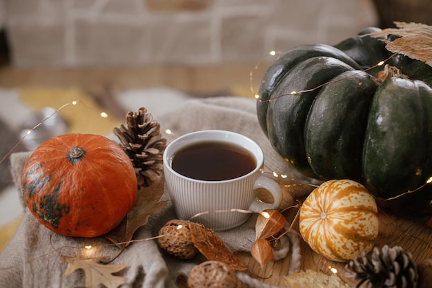 Xícara quente de chá abóboras folhas de outono cones cachecol aconchegante e luzes na mesa de madeira rústica na fazenda Queda aconchegante em casa rural Feliz Ação de Graças Outono hygge banner de vida morta