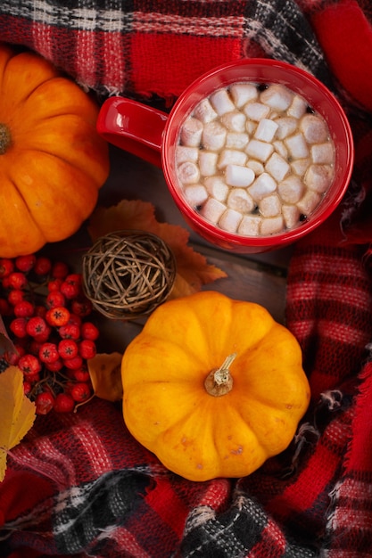 Xícara vermelha de cacau com marshmallow, abóbora decorativa. Humor de outono, bebida de aquecimento. Atmosfera aconchegante