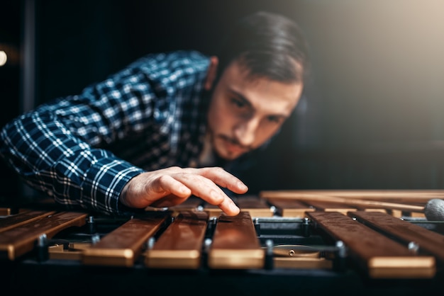 Xylophonist mit Stöcken, Musiker in Aktion