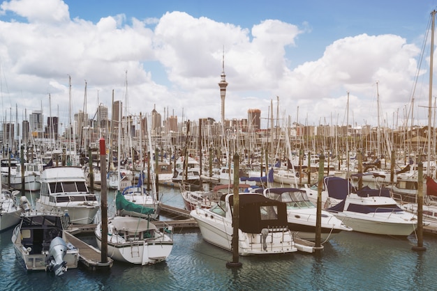 Yacht am Hafen in Auckland, Neuseeland