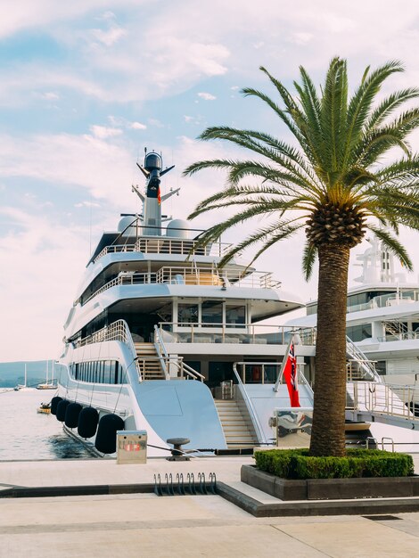 Yacht porto montenegro Elitegebiet von tivat