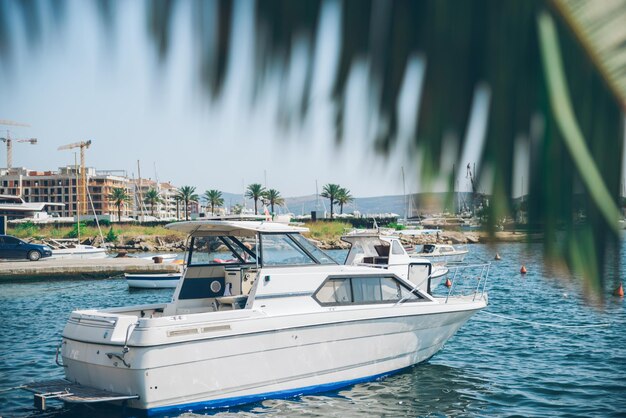 Yachten in Tivat-Buchtpalmenblättern auf Front