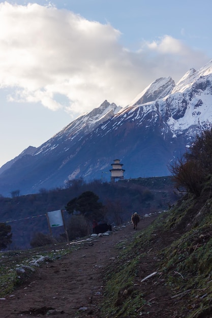 Yak caminando por el camino hacia la estupa y las montañas en el Himalaya