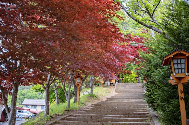Yamanashi, Japan Mai - 20., 2019: Arakurayama Sengen Park, Stadt Fujiyoshida, Präfektur Yamanashi, Japan
