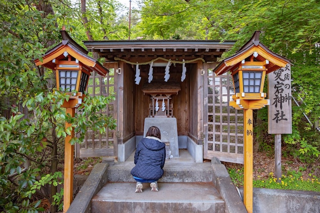 Yamanashi, Japão 19 de maio de 2019: Arakurayama Sengen Park, Fujiyoshida City, Yamanashi Prefecture, Japão