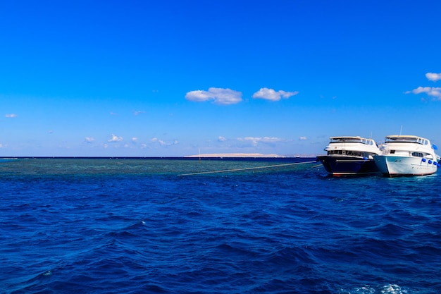 Yates blancos anclados cerca del arrecife de coral en el Mar Rojo Egipto