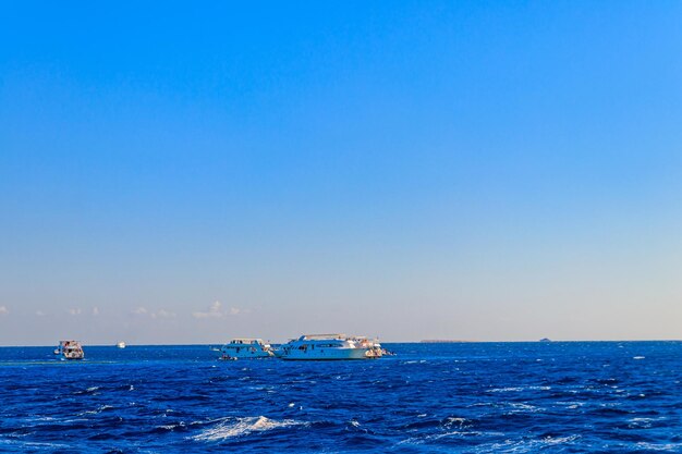 Yates blancos navegando en el Mar Rojo, Egipto