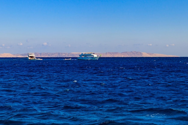 Yates blancos navegando en el Mar Rojo Egipto