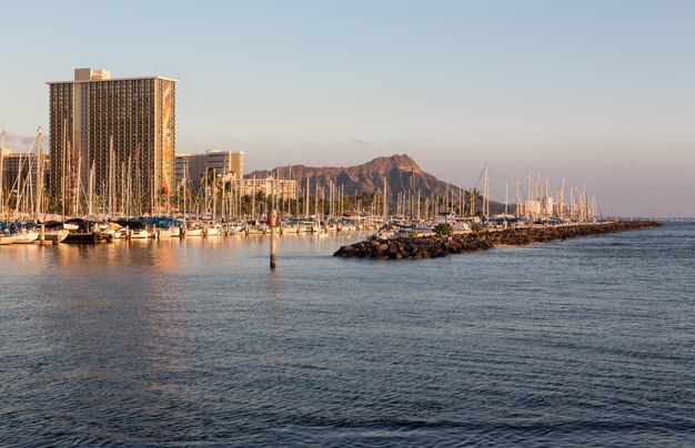 Yates en el marco del puerto de Ala Moana Diamond Head