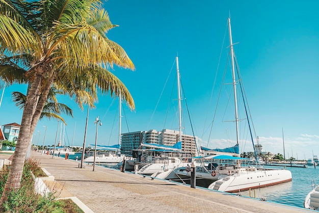 Yates a vela de lujo y catamaranes Cruceros Embarcaciones de recreo fondeadas en el puerto marítimo