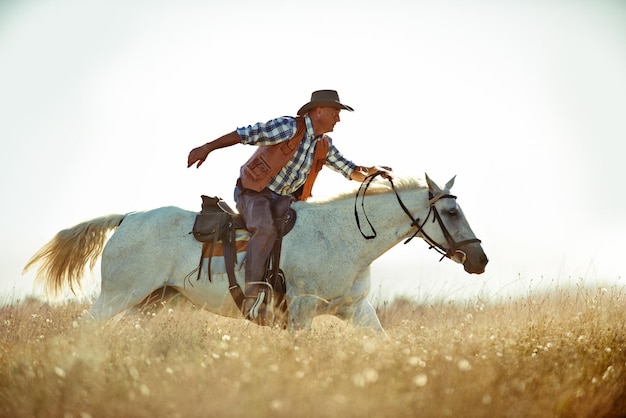 Yeeha Ein Cowboy auf seinem Pferd