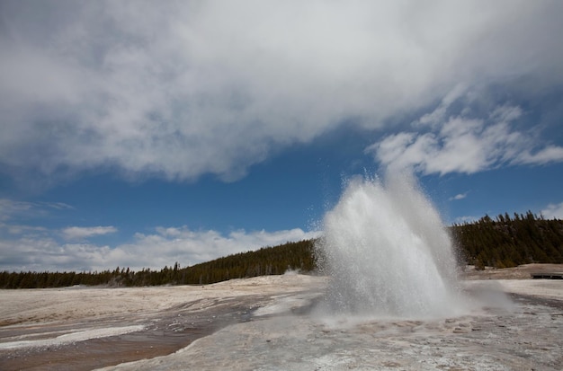 Foto yellowstone-park