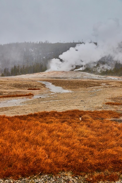 Yellowstone-Winter im alten treuen Dampfen