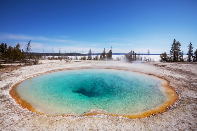 yellowstone