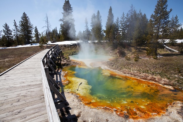 yellowstone