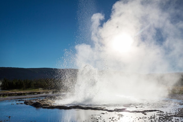 yellowstone