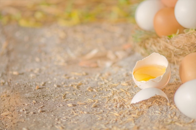 Yema de huevo de gallina cruda rota