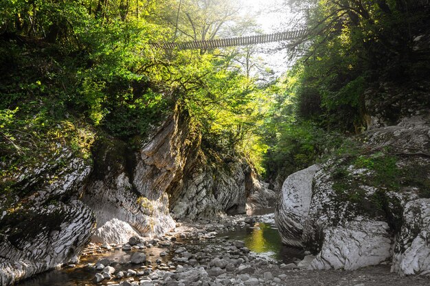 Yewboxwood Grove Sotschi Nationalpark Region Krasnodar Russland 09222020 Canyon Mountain River fließt zwischen den White Rocks