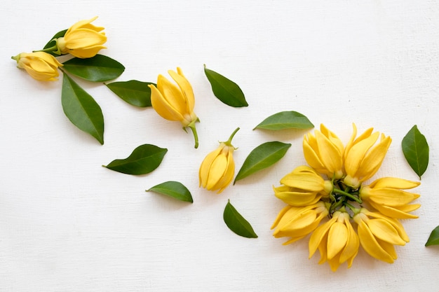 Ylang Ylang Blumen Anordnung Postkartenstil