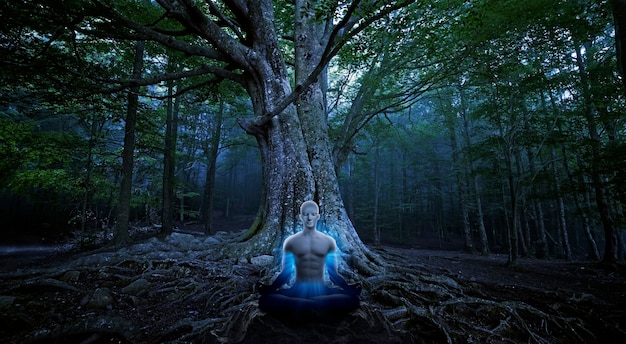 Yoga-Männer, die unter großem Tre meditieren