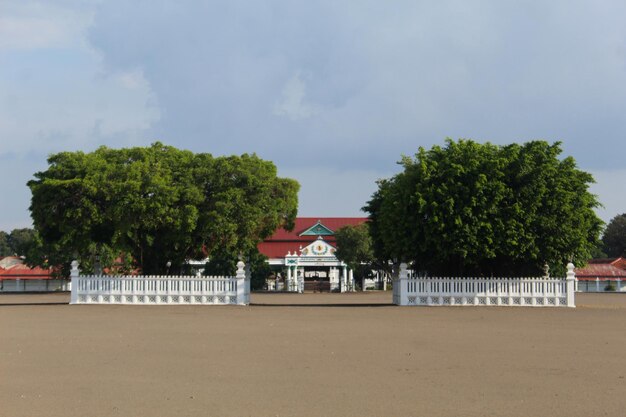 Foto yogyakarta, indonesien, mai 2024 die zwillingsbanyanbäume, die fest in der mitte des platzes stehen