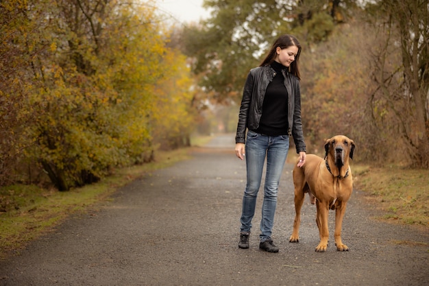 Yong, mulher, com, cão grande, Fila, brasileiro, raça, em, outono, parque