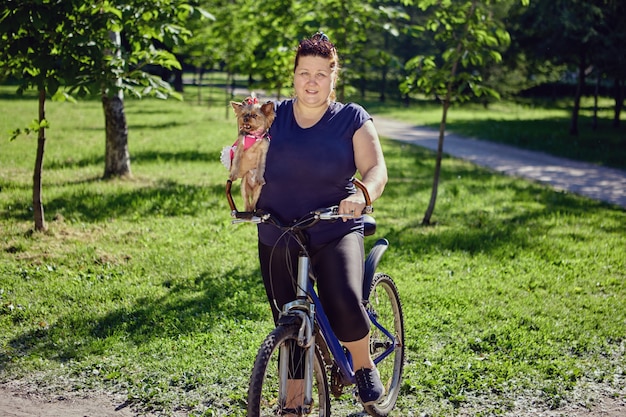 Yorkshire-Terrier in den Händen einer fetten Frau auf dem Fahrrad