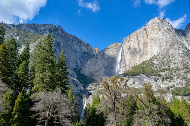 Foto yosemite im frühling