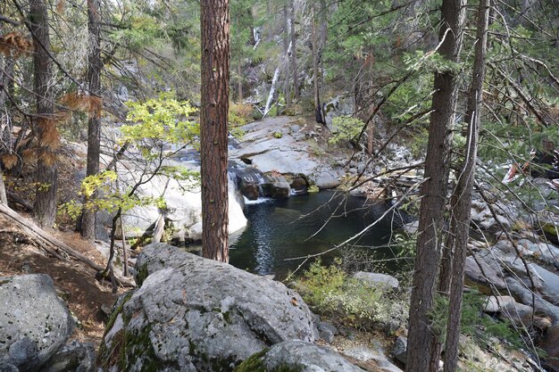 Yosemite Merced River und Täler