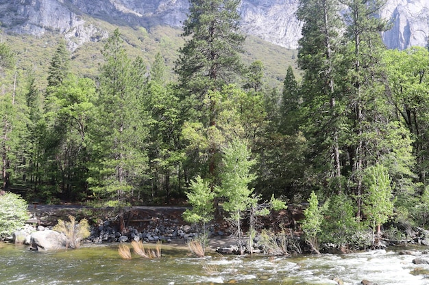 Yosemite na primavera