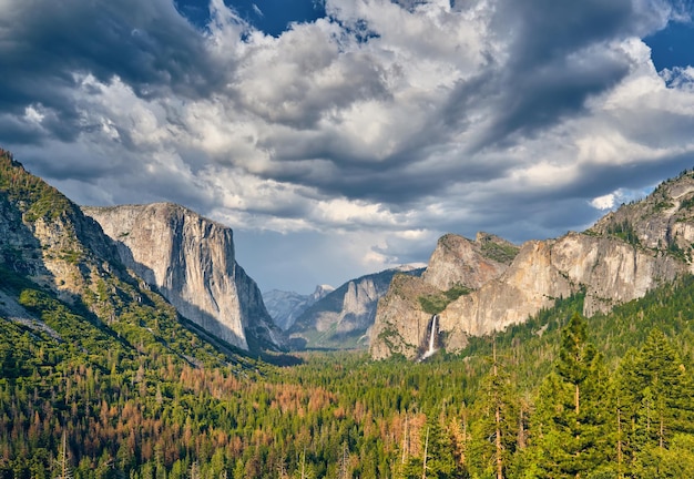 Yosemite National Park Valley Sommerlandschaft