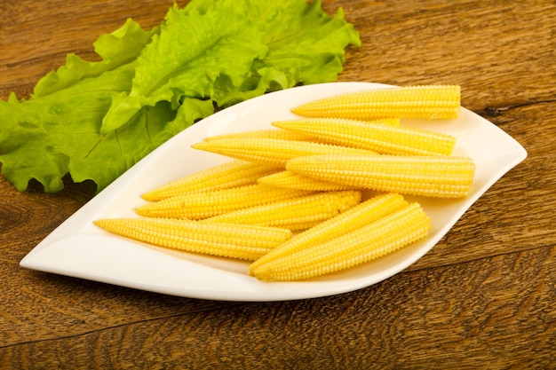 Young baby corn