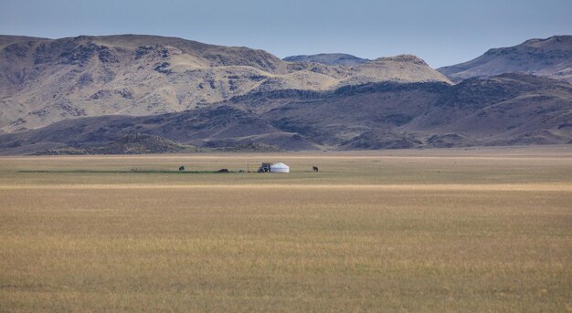 yurt branco na natureza